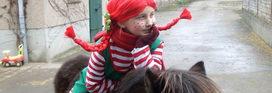 image43.jpg