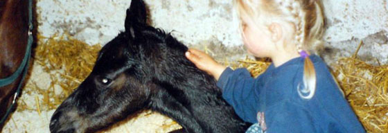 image52.jpg