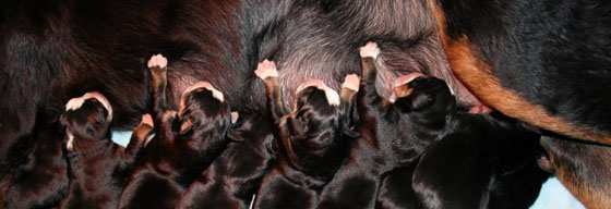 image46.jpg