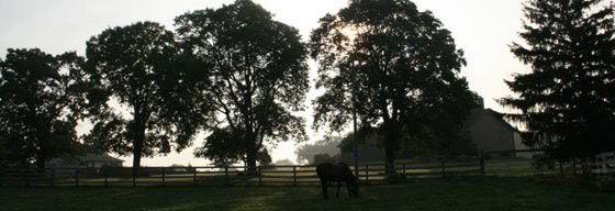 image43.jpg