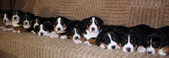 image55.jpg